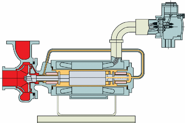 �����Ȼ�����