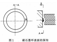  ��һˮ��ǳ������ʯī������֢״