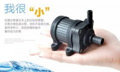  ΢��ˮ��֪ʶ��ȫ